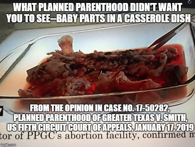 PlannedParenthoodCasserole | WHAT PLANNED PARENTHOOD DIDN'T WANT YOU TO SEE--BABY PARTS IN A CASSEROLE DISH; FROM THE OPINION IN CASE NO. 17-50282, PLANNED PARENTHOOD OF GREATER TEXAS V. SMITH, US FIFTH CIRCUIT COURT OF APPEALS, JANUARY 17, 2019 | image tagged in plannedparenthoodcasserole | made w/ Imgflip meme maker