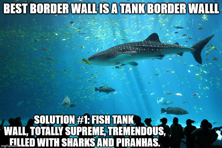 Tank Border wall #1 | BEST BORDER WALL IS A TANK BORDER WALLL; SOLUTION #1: FISH TANK WALL, TOTALLY SUPREME, TREMENDOUS, FILLED WITH SHARKS AND PIRANHAS. | image tagged in free the tank,fish tank,build a wall,totallynotsad,bestest idea,national emergency | made w/ Imgflip meme maker