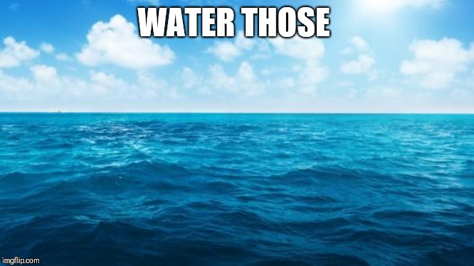 Ocean | WATER THOSE | image tagged in ocean | made w/ Imgflip meme maker
