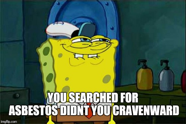 Don't You Squidward Meme | YOU SEARCHED FOR ASBESTOS DIDNT YOU CRAVENWARD | image tagged in memes,dont you squidward | made w/ Imgflip meme maker