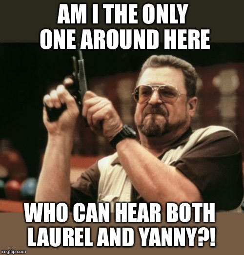 Am I The Only One Around Here Meme | AM I THE ONLY ONE AROUND HERE WHO CAN HEAR BOTH LAUREL AND YANNY?! | image tagged in memes,am i the only one around here | made w/ Imgflip meme maker