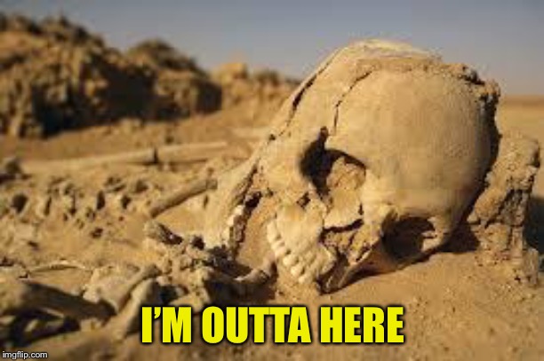 Desert Bones | I’M OUTTA HERE | image tagged in desert bones | made w/ Imgflip meme maker