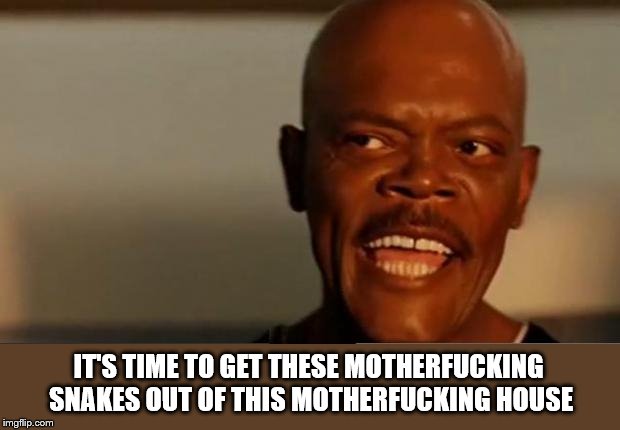 Snakes on the Plane Samuel L Jackson | IT'S TIME TO GET THESE MOTHERF**KING SNAKES OUT OF THIS MOTHERF**KING HOUSE | image tagged in snakes on the plane samuel l jackson | made w/ Imgflip meme maker