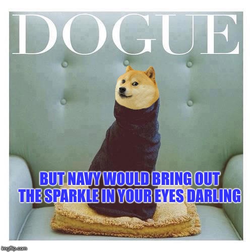 doge fashion | BUT NAVY WOULD BRING OUT THE SPARKLE IN YOUR EYES DARLING | image tagged in doge fashion | made w/ Imgflip meme maker