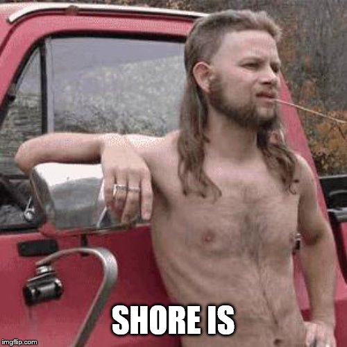 almost redneck | SHORE IS | image tagged in almost redneck | made w/ Imgflip meme maker