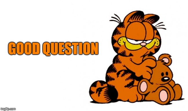 garfield | GOOD QUESTION | image tagged in garfield | made w/ Imgflip meme maker