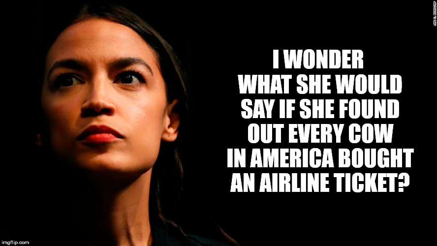 Cows on the Plane | I WONDER WHAT SHE
WOULD SAY IF SHE
FOUND OUT EVERY
COW IN AMERICA
BOUGHT AN AIRLINE
TICKET? | image tagged in ocasio-cortez super genius | made w/ Imgflip meme maker