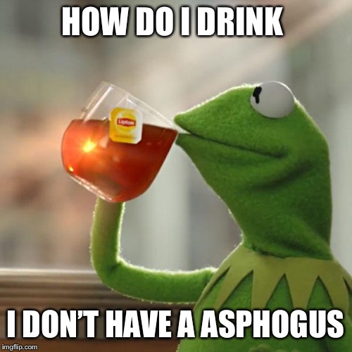 But That's None Of My Business | HOW DO I DRINK; I DON’T HAVE A ASPHOGUS | image tagged in memes,but thats none of my business,kermit the frog | made w/ Imgflip meme maker