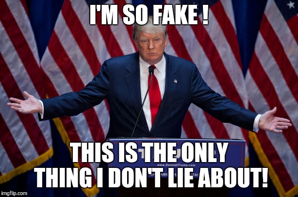 Donald Trump | I'M SO FAKE ! THIS IS THE ONLY THING I DON'T LIE ABOUT! | image tagged in donald trump | made w/ Imgflip meme maker