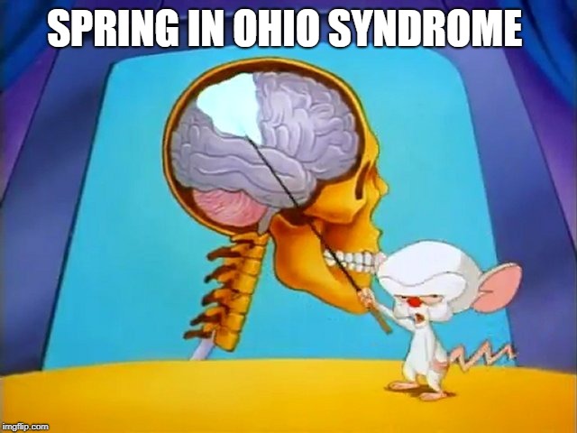 the brain | SPRING IN OHIO SYNDROME | image tagged in the brain | made w/ Imgflip meme maker