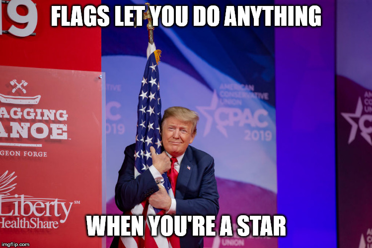 Trump Flag | FLAGS LET YOU DO ANYTHING; WHEN YOU'RE A STAR | image tagged in trump flag | made w/ Imgflip meme maker