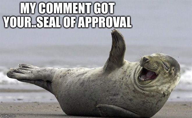 ROFL | MY COMMENT GOT YOUR..SEAL OF APPROVAL | image tagged in rofl | made w/ Imgflip meme maker