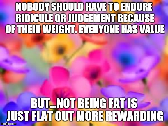 flowers | NOBODY SHOULD HAVE TO ENDURE RIDICULE OR JUDGEMENT BECAUSE OF THEIR WEIGHT. EVERYONE HAS VALUE; BUT...NOT BEING FAT IS JUST FLAT OUT MORE REWARDING | image tagged in flowers | made w/ Imgflip meme maker