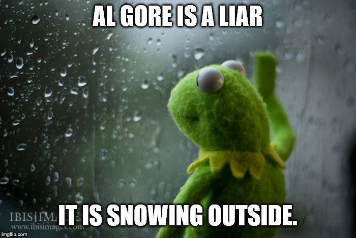 kermit window | AL GORE IS A LIAR IT IS SNOWING OUTSIDE. | image tagged in kermit window | made w/ Imgflip meme maker