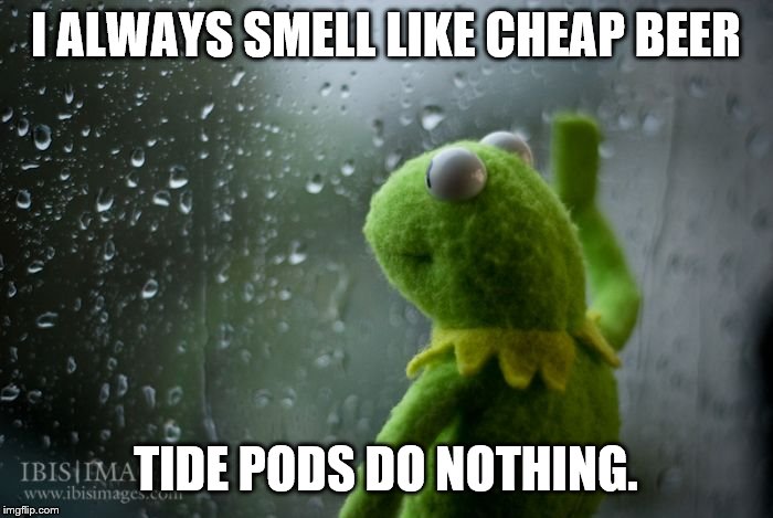 kermit window | I ALWAYS SMELL LIKE CHEAP BEER TIDE PODS DO NOTHING. | image tagged in kermit window | made w/ Imgflip meme maker