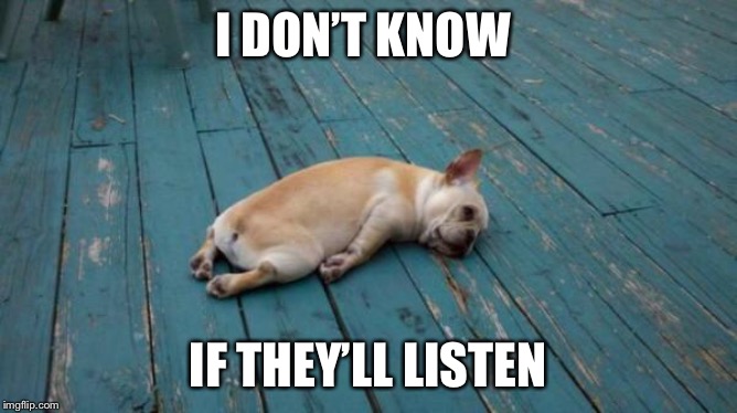 tired dog | I DON’T KNOW IF THEY’LL LISTEN | image tagged in tired dog | made w/ Imgflip meme maker