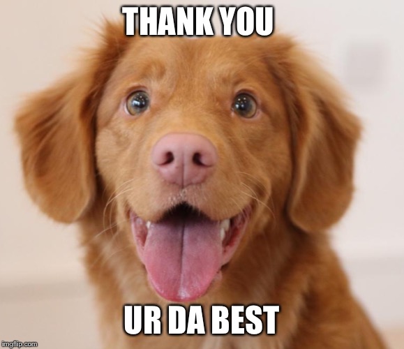 THANK YOU UR DA BEST | image tagged in event in honor of raydogs mom dog memes event feb-8 to feb-20 | made w/ Imgflip meme maker
