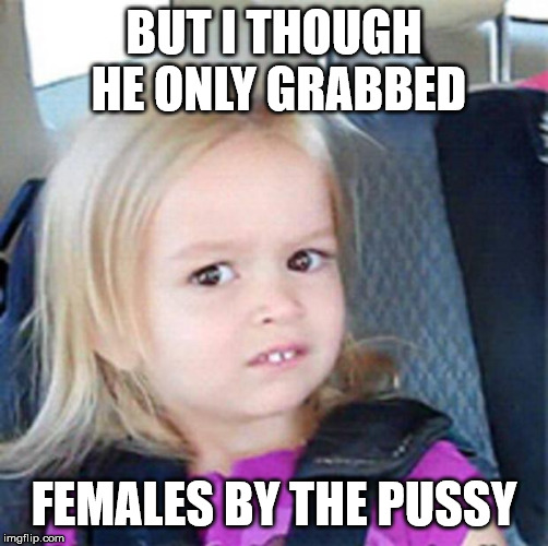 Confused Little Girl | BUT I THOUGH HE ONLY GRABBED FEMALES BY THE PUSSY | image tagged in confused little girl | made w/ Imgflip meme maker