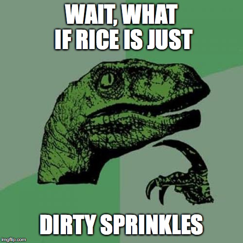 Philosoraptor | WAIT, WHAT IF RICE IS JUST; DIRTY SPRINKLES | image tagged in memes,philosoraptor | made w/ Imgflip meme maker