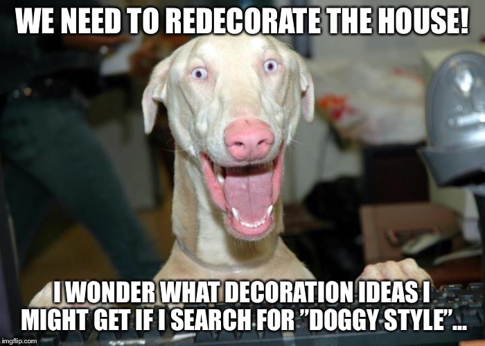 Googling dog | WE NEED TO REDECORATE THE HOUSE! I WONDER WHAT DECORATION IDEAS I MIGHT GET IF I SEARCH FOR ”DOGGY STYLE”... | image tagged in dogs | made w/ Imgflip meme maker