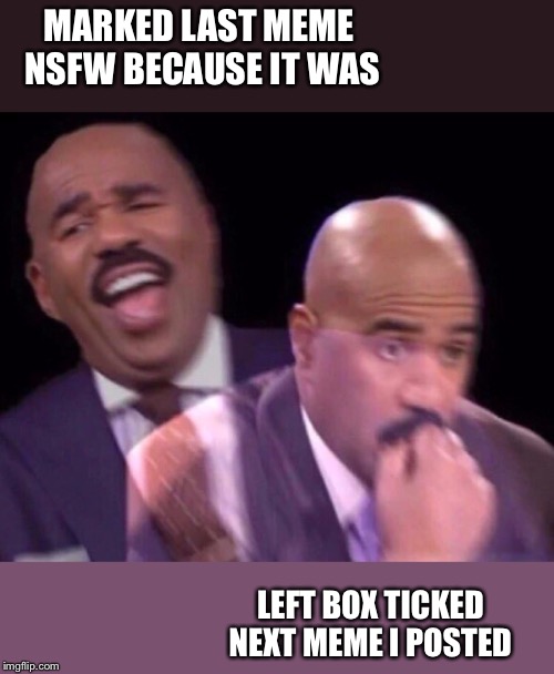 Steve Harvey Laughing Serious | MARKED LAST MEME NSFW BECAUSE IT WAS LEFT BOX TICKED NEXT MEME I POSTED | image tagged in steve harvey laughing serious | made w/ Imgflip meme maker