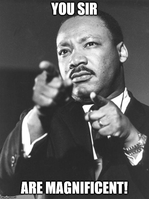 martin Luther King Jr  | YOU SIR ARE MAGNIFICENT! | image tagged in martin luther king jr | made w/ Imgflip meme maker