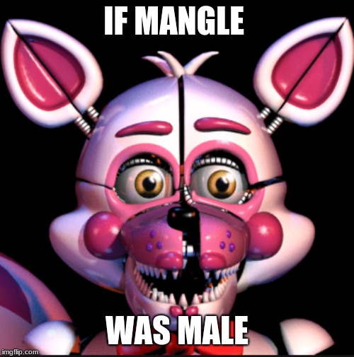 IF MANGLE; WAS MALE | image tagged in mangle meme,funtime foxy jumpscare fnaf sister location | made w/ Imgflip meme maker