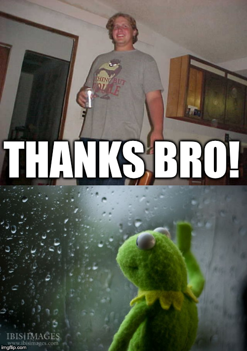 THANKS BRO! | image tagged in kermit window | made w/ Imgflip meme maker