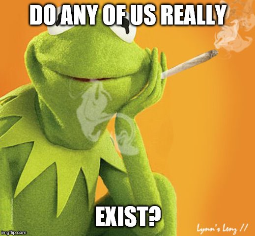 DO ANY OF US REALLY EXIST? | made w/ Imgflip meme maker