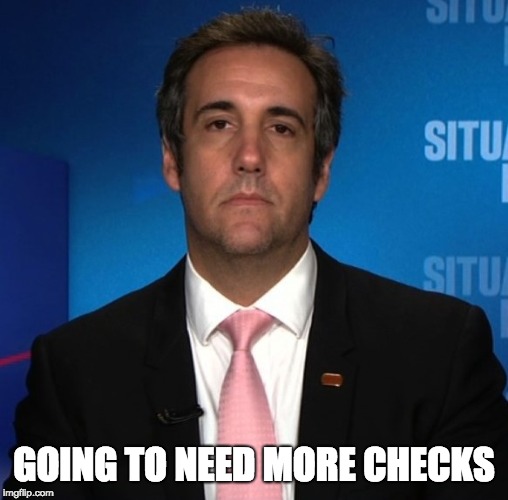 michael cohen | GOING TO NEED MORE CHECKS | image tagged in michael cohen | made w/ Imgflip meme maker