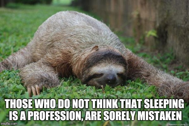 Sleeping sloth |  THOSE WHO DO NOT THINK THAT SLEEPING IS A PROFESSION, ARE SORELY MISTAKEN | image tagged in sleeping sloth | made w/ Imgflip meme maker