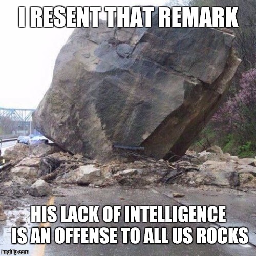 Boulder | I RESENT THAT REMARK HIS LACK OF INTELLIGENCE IS AN OFFENSE TO ALL US ROCKS | image tagged in boulder | made w/ Imgflip meme maker