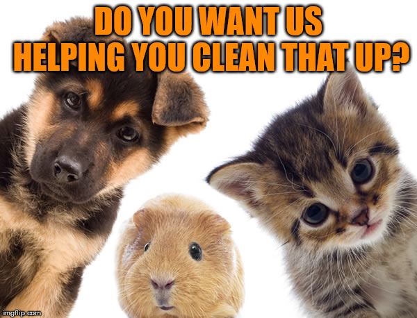 DO YOU WANT US HELPING YOU CLEAN THAT UP? | made w/ Imgflip meme maker