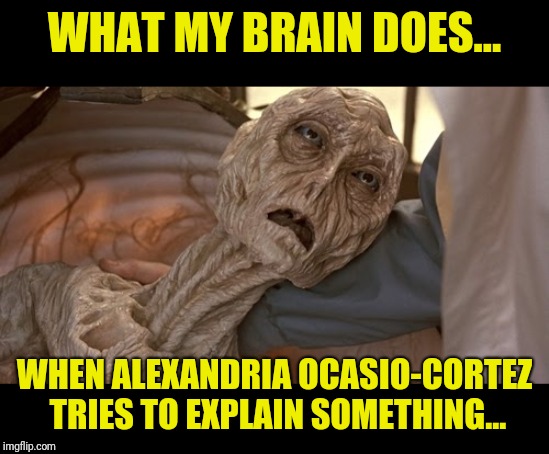 Alien Dying | WHAT MY BRAIN DOES... WHEN ALEXANDRIA OCASIO-CORTEZ TRIES TO EXPLAIN SOMETHING... | image tagged in alien dying | made w/ Imgflip meme maker