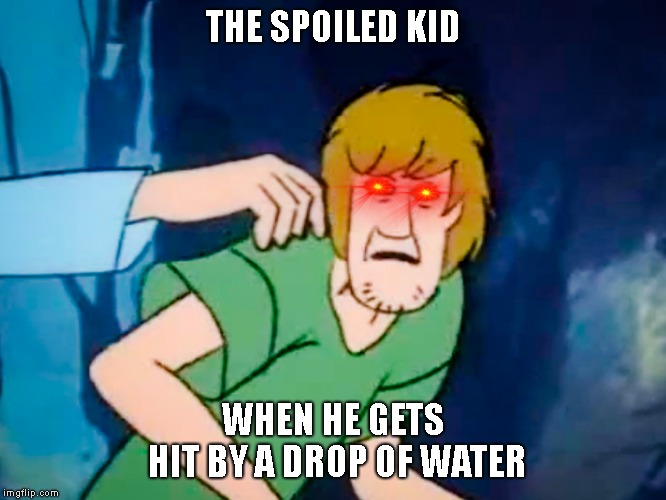 Shaggy meme | THE SPOILED KID; WHEN HE GETS HIT BY A DROP OF WATER | image tagged in shaggy meme | made w/ Imgflip meme maker