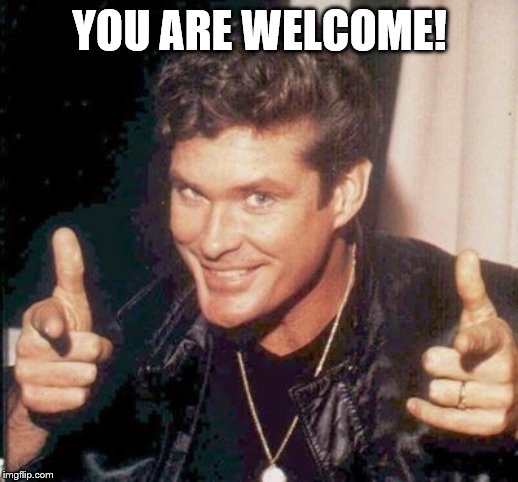 The Hoff thinks your awesome | YOU ARE WELCOME! | image tagged in the hoff thinks your awesome | made w/ Imgflip meme maker