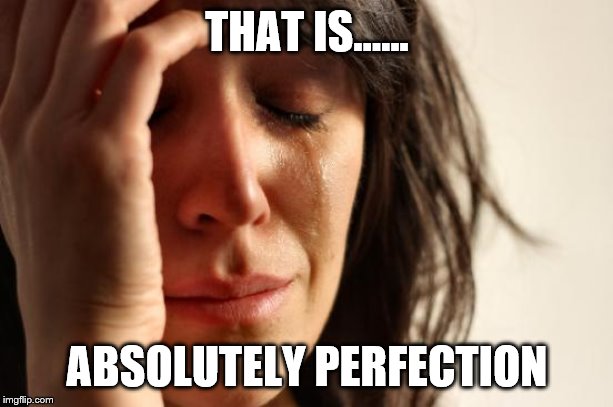 First World Problems Meme | THAT IS...... ABSOLUTELY PERFECTION | image tagged in memes,first world problems | made w/ Imgflip meme maker
