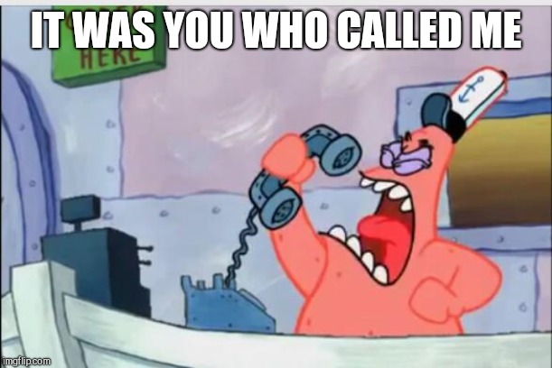 NO THIS IS PATRICK | IT WAS YOU WHO CALLED ME | image tagged in no this is patrick | made w/ Imgflip meme maker
