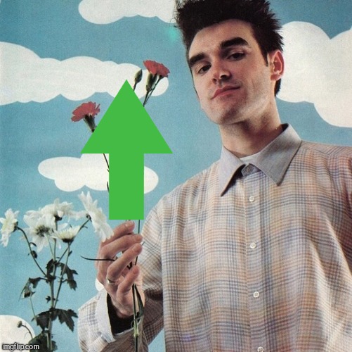 image tagged in morrissey | made w/ Imgflip meme maker