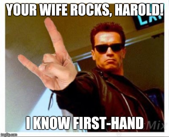 YOUR WIFE ROCKS, HAROLD! I KNOW FIRST-HAND | made w/ Imgflip meme maker