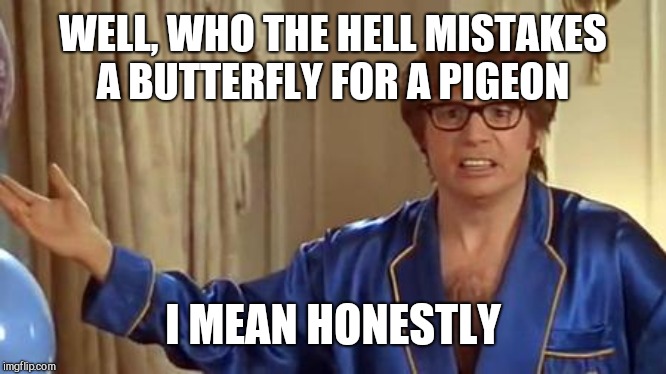 Austin Powers Honestly Meme | WELL, WHO THE HELL MISTAKES A BUTTERFLY FOR A PIGEON I MEAN HONESTLY | image tagged in memes,austin powers honestly | made w/ Imgflip meme maker