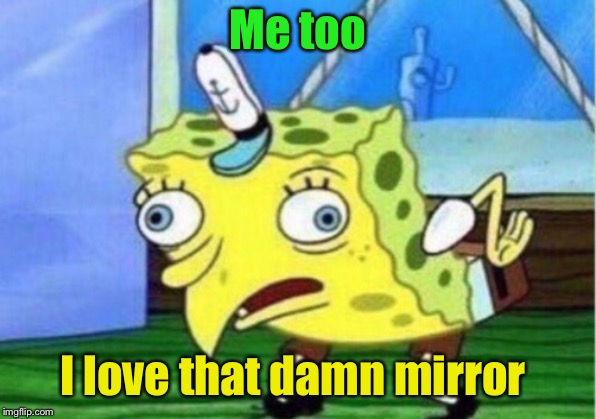 Mocking Spongebob Meme | Me too I love that damn mirror | image tagged in memes,mocking spongebob | made w/ Imgflip meme maker