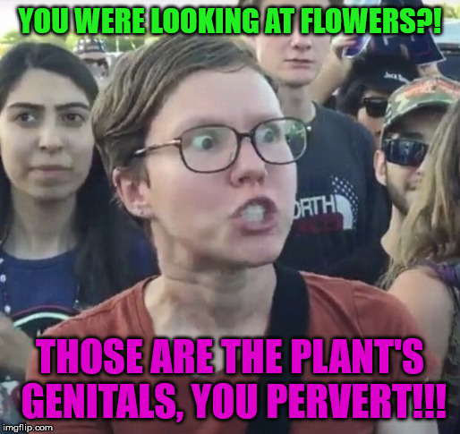 Triggered feminist | YOU WERE LOOKING AT FLOWERS?! THOSE ARE THE PLANT'S GENITALS, YOU PERVERT!!! | image tagged in triggered feminist | made w/ Imgflip meme maker