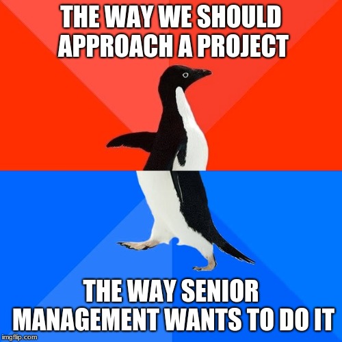 Socially Awesome Awkward Penguin Meme | THE WAY WE SHOULD APPROACH A PROJECT; THE WAY SENIOR MANAGEMENT WANTS TO DO IT | image tagged in memes,socially awesome awkward penguin | made w/ Imgflip meme maker