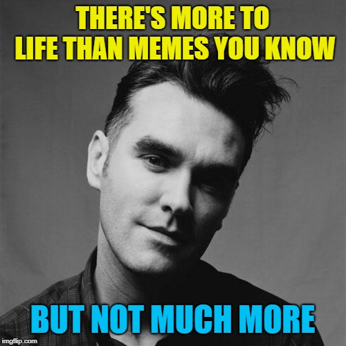 Morrissey | THERE'S MORE TO LIFE THAN MEMES YOU KNOW BUT NOT MUCH MORE | image tagged in morrissey | made w/ Imgflip meme maker