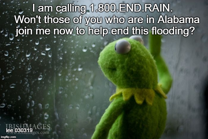 kermit window | I am calling 1.800.END.RAIN.  
Won't those of you who are in Alabama join me now to help end this flooding? lee 030319 | image tagged in kermit window,rain,flooding,alabama | made w/ Imgflip meme maker