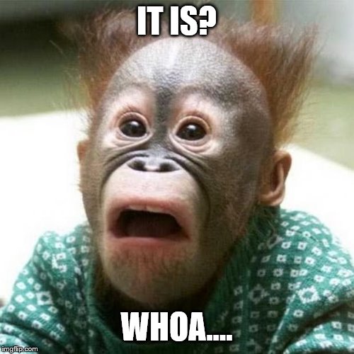 Shocked Monkey | IT IS? WHOA.... | image tagged in shocked monkey | made w/ Imgflip meme maker