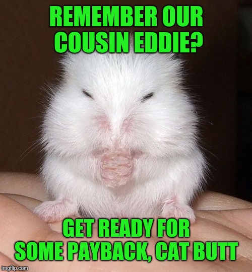 evil mouse | REMEMBER OUR COUSIN EDDIE? GET READY FOR SOME PAYBACK, CAT BUTT | image tagged in evil mouse | made w/ Imgflip meme maker