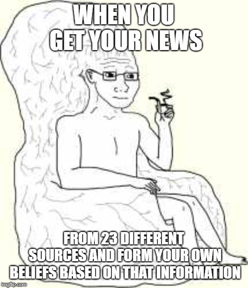 Big Brain Wojak | WHEN YOU GET YOUR NEWS FROM 23 DIFFERENT SOURCES AND FORM YOUR OWN BELIEFS BASED ON THAT INFORMATION | image tagged in big brain wojak | made w/ Imgflip meme maker