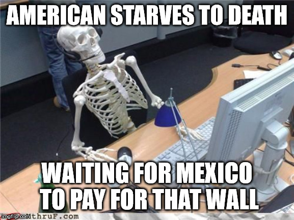 Skeleton Computer | AMERICAN STARVES TO DEATH WAITING FOR MEXICO TO PAY FOR THAT WALL | image tagged in skeleton computer | made w/ Imgflip meme maker